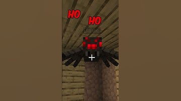 Thumbnail of When a Spider gets inside your Minecraft house