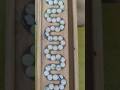 Smooth Marble Run With Colors Moving in Perfect Sync#MarbleRun #ColorFlow #Satisfying #Relaxing