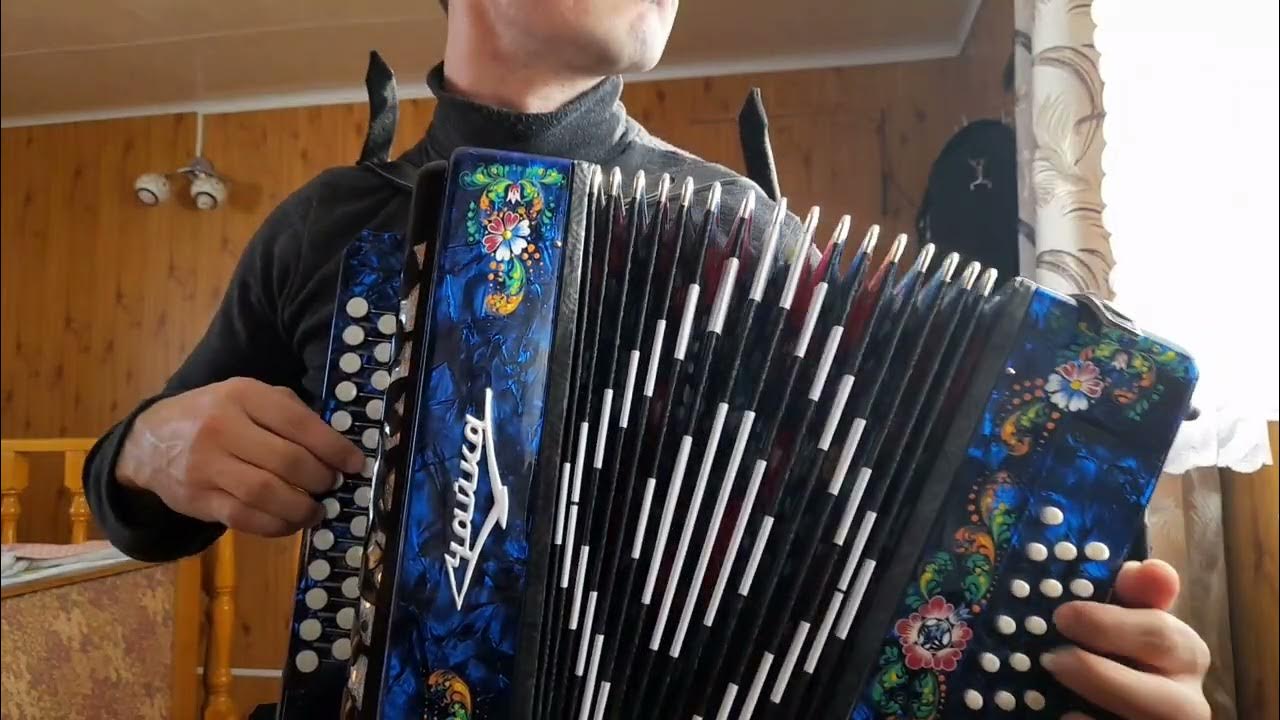 Могилевские наигрыши. Наигрыши на гармони. Гармошки чуваши. Чувашская гармошка. Чувашская плясовая.