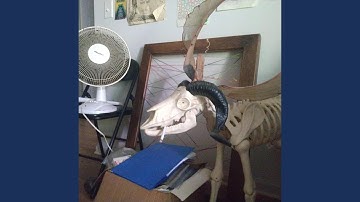 Well-Documented Issues & Mistakes