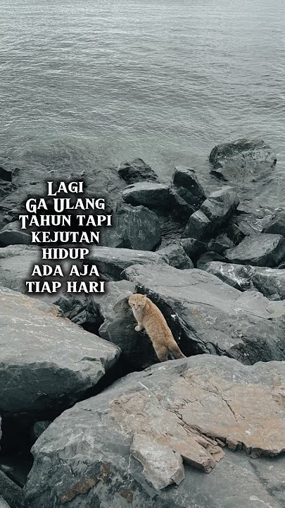 STORY WA #quotes #trendingshorts #trending #reallifestory #story #storywa #shorts #viral