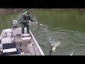 BIG BOATSIDE MUSKY STRIKES!!!  WEST VIRGINIA MUSKY FISHING S2:E1