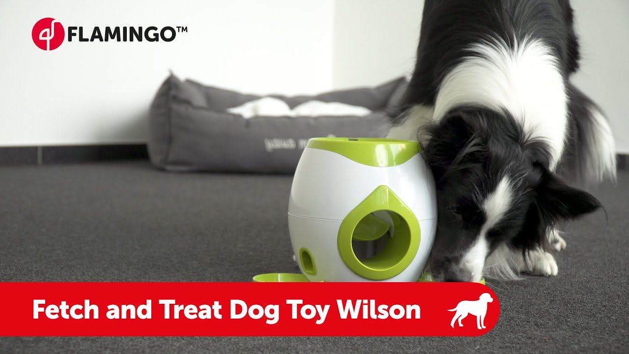 Dog Puzzle Toys  That's So Fetch!