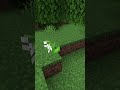 マインクラフトではスズランが全方向を向いている #shorts #minecraft #flowers