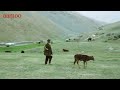 Village life travel in the shiwa of badakhshan province  aamoo