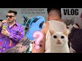Reddit pletykák, eddigi legnagyobb tetoválásom, élet 2 macskával, új kamera | NAPI VLOG