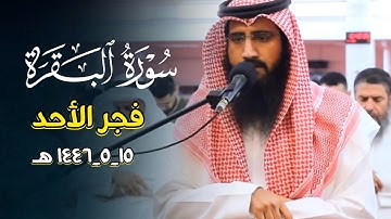 فجريّة آسرة تلاوة ما تيسر من سورة البقرة بصوت الشيخ حمزة معاذ 1446 هـ