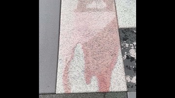 Hydrostone: Permeable Paver in action!!