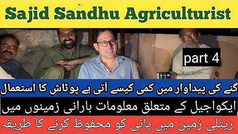 Boost Sugarcane Yield | Role of Potash, Aquagel & Water Saving in Rainfed Farming by Sajid Sandhu 