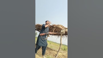 The Art of Duck Calling Masterclass | Duck Call Sounds Authentic and Effective...