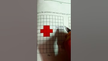 Area and perimeter caliculation through grid paper@Ncert maths in Telugu