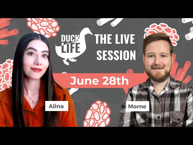 The Duck Life: Live Session