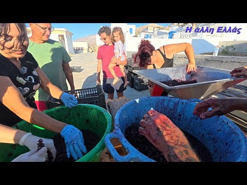 ΣΤΗΝ ΚΑΣΟ ΦΤΙΑΧΝΟΥΝ ΚΡΑΣΙ ΜΕ ΑΡΓΑΔΕΙΆ ΣΤΙΣ ΓΕΙΤΟΝΙΕΣ! – Video