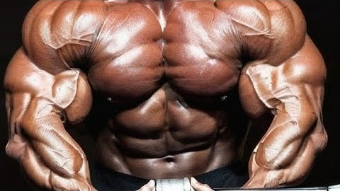 Preacher Curl Machine for Huge Biceps!