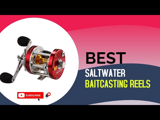 Best Saltwater Baitcasting Reels - Top 10 Saltwater Baitcasting Reel