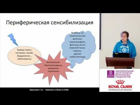 Вопрос: Как контролировать боли при артрите у собак?