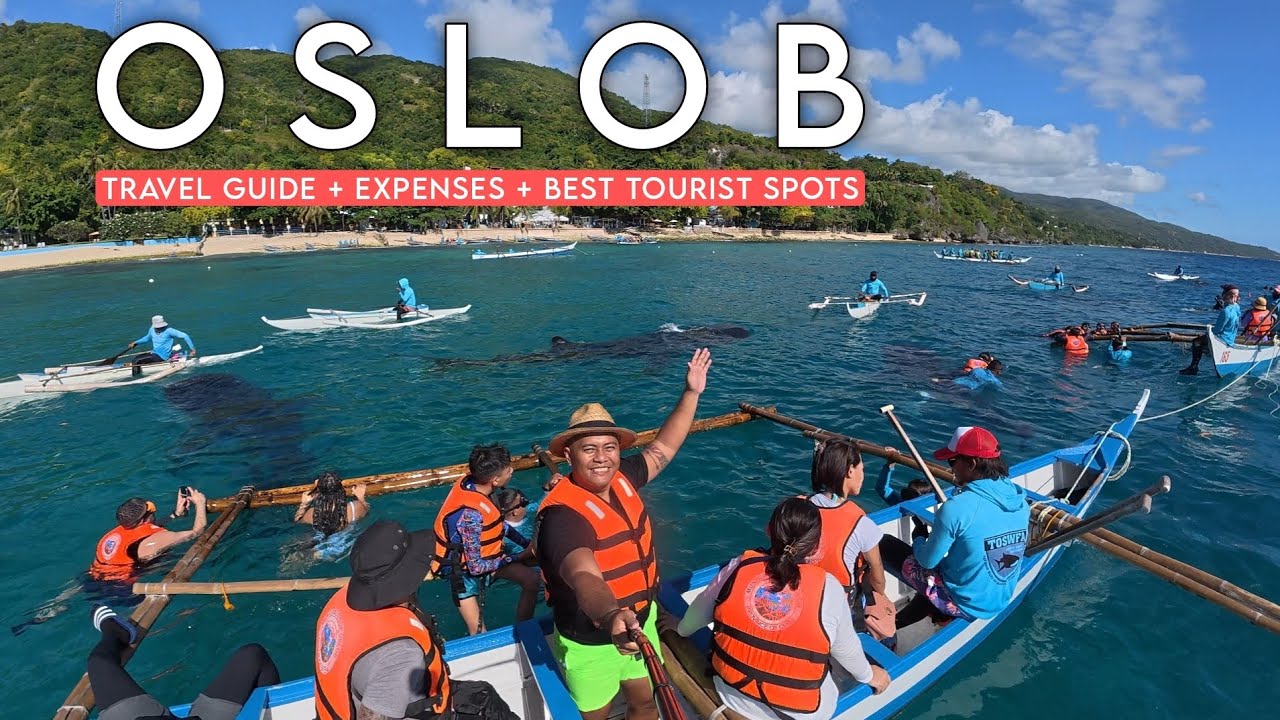 OSLOB 🇵🇭 | Travel Guide + Expenses - Whaleshark Watching + Bluewater Sumilon + Tumalog Falls