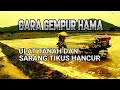 HANCURKAN SARANG TIKUS - Persiapan Lahan Tanam CMK Lolay, Bajak Sawah Pakai Hand Tractor (1)