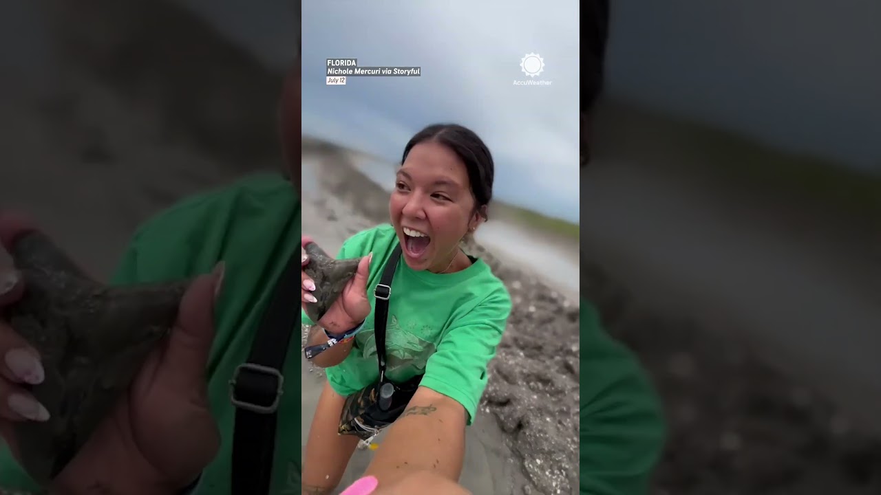 I Found a Giant Shark Tooth at the Beach!