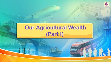 Our Agricultural Wealth | Marvel Semester Series Social Studies Grade 4 | Periwinkle