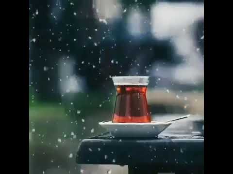 شيرازحسنى معندكش فكرة