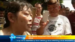В Китае проходит фестиваль поедания собак В Китае проходит фестиваль поедания собак