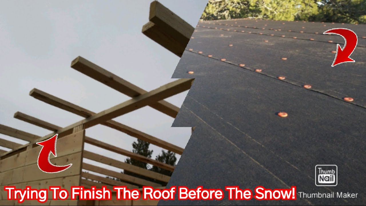 Framing The Roof, Sheathing and Tar Paper - Tiny Off Grid Cabin - YouTube
