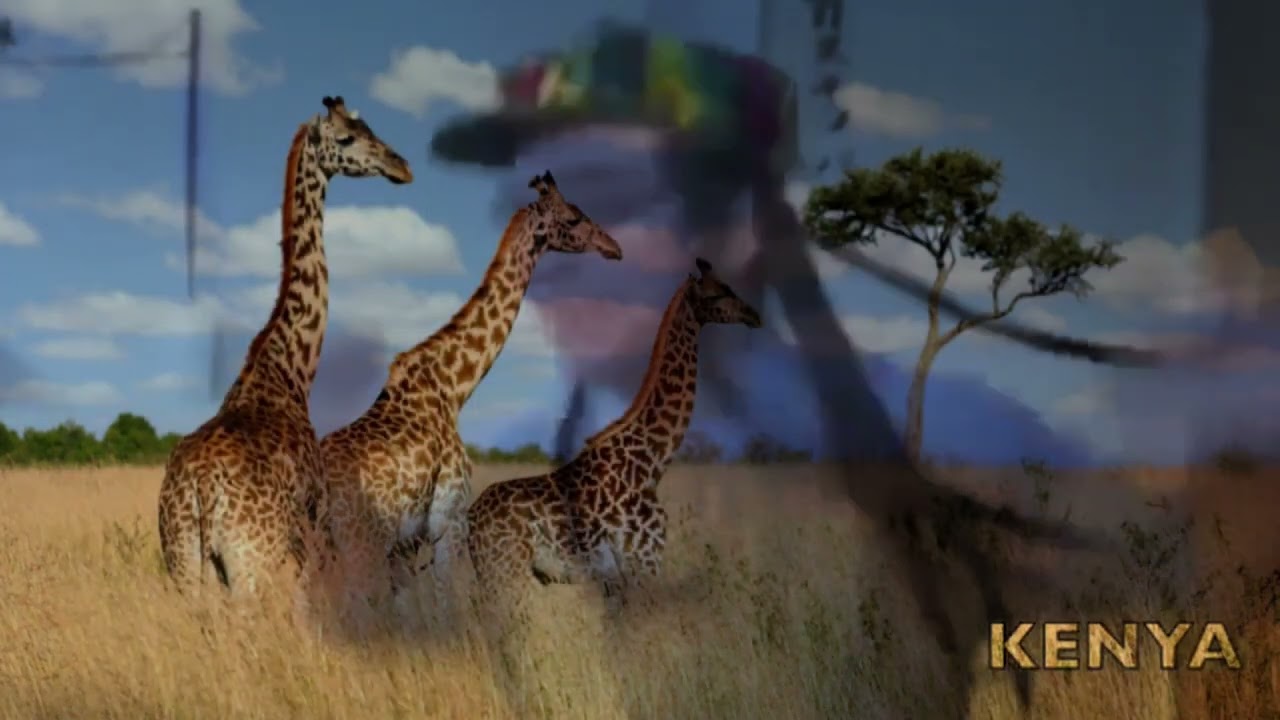 Swahili Dance X Kenya Dance mashup (unknown songs)