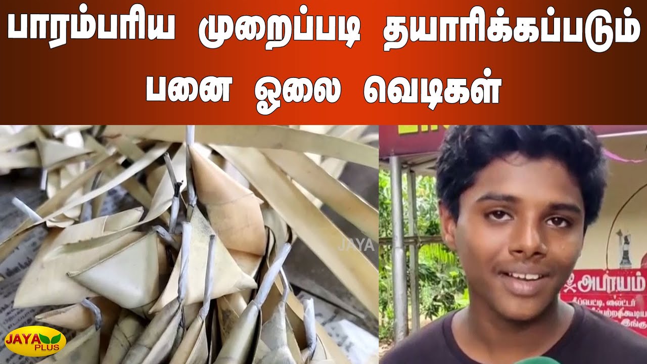 பாரம்பரிய முறைப்படி தயாரிக்‍கப்படும் பனை ஓலை வெடிகள் | Nattu Olai Vedi | Diwali Special
