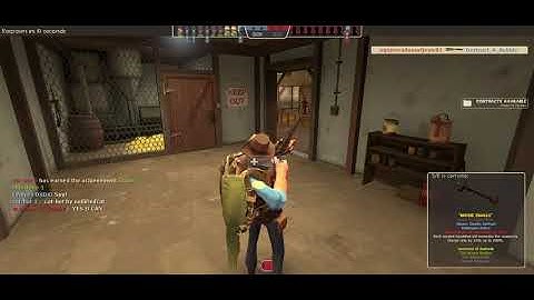 Team Fortress 2: The great Cat Bot battle