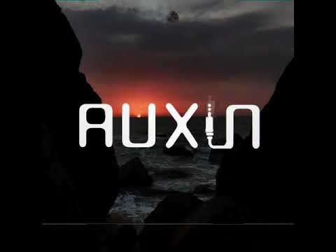 AuXin - Minimal Techno - Supernova