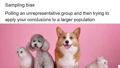 Logical Fallacies: Questionable Use of Statistics