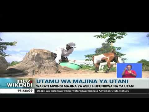 Utamu Wa Majina Ya Utani
