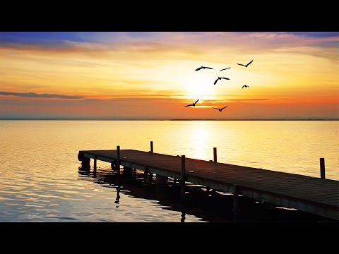 Sleeping Music, Calming Music, Music For Stress Relief, Relaxation Music, 8 Hour Sleep Music, ☯3131