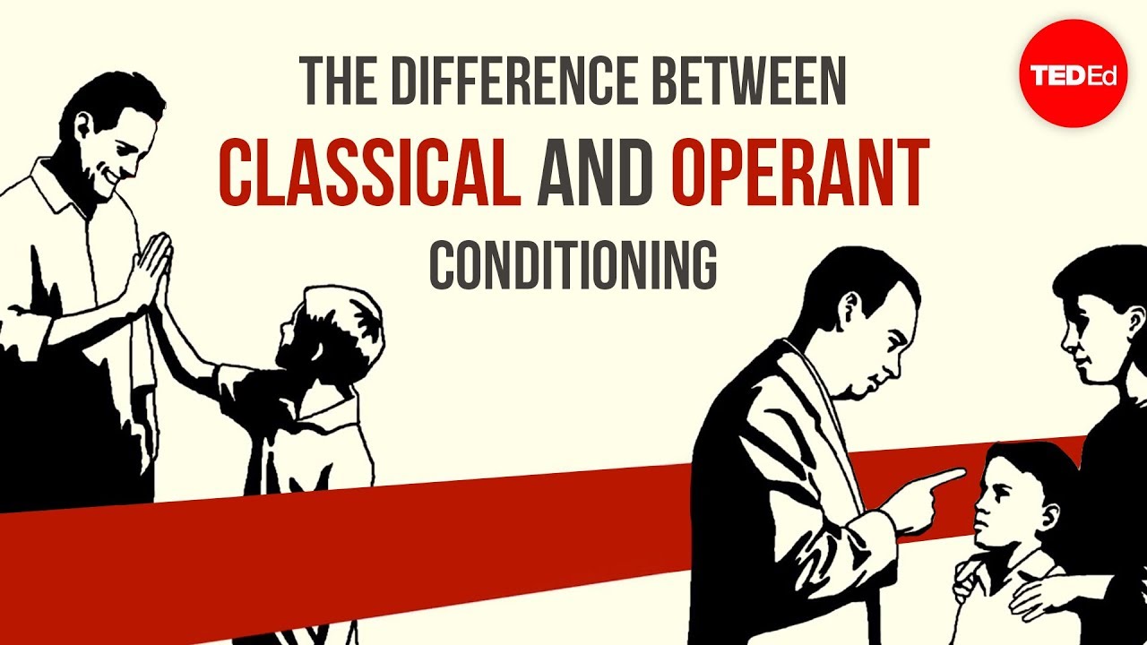 How Is Pavlov'S Classical Conditioning Different From Skinner'S Operant Conditioning?