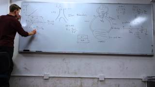Famous ME70 - Introductory Fluid Mechanics - Lab 7: Cardiovascular Lab Net Worth