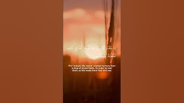 Read and reflect. ‏سورةالإنسان  #quranic #quran #islam #allah #quranquotes #quranverses #