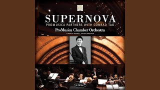 piano-concerto-no-2-in-g-minor-op-22-i-piano-concerto-no-2-in-g-minor-op-22---andante