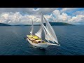 Teman liveaboard raja ampat and komodo   premier liveaboard diving