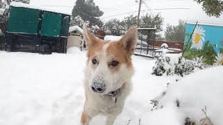 Snow in Roswell, NM 10/27/20