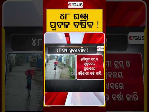 ୪୮ ଘଣ୍ଟା ପ୍ରବଳ ବର୍ଷିବ | Heavy Rain Alert For Next 48 Hrs | Argus News