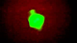 SKY Lasers H532L-100B: MODE HOPPING [Boring for non Laser techs]