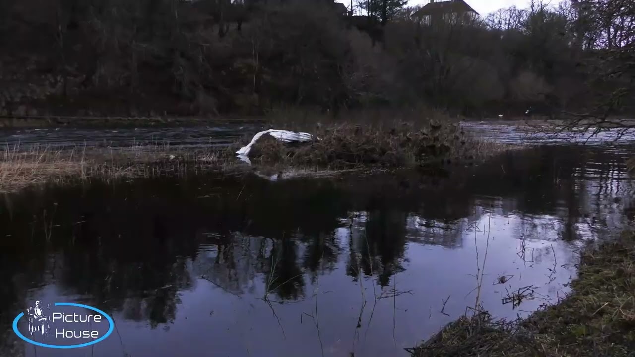 February on Thurso River. 8th Feb 2026
