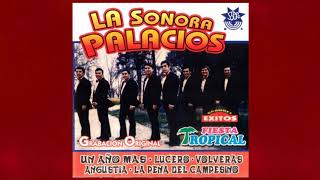 Video thumbnail of "Sonora Palacios  -  Un Año Más"