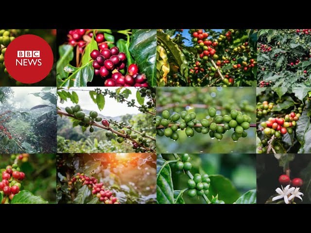 prostata desinflamatorios naturales prostata desinflamatorios naturales