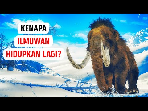 Video: Adakah sesiapa yang makan mamut berbulu?