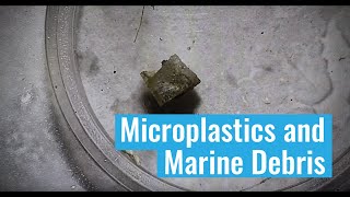 Microplastics and Marine Debris