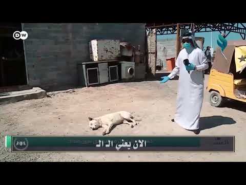 رياكشن يعني تفضل