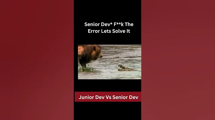 Junior Developer Vs Senior Developer #comedy #shorts
