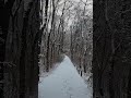 Снег в Сеуле❄️